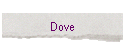 Dove