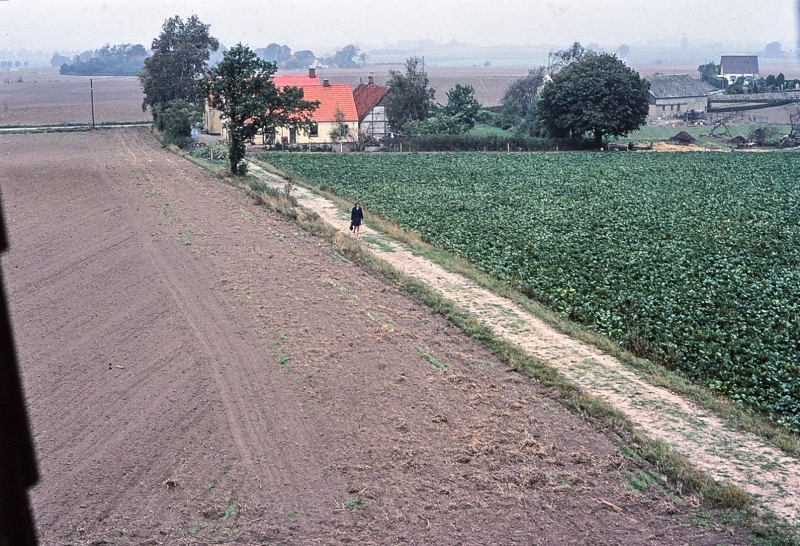 Torkilstrup-Mølle-15