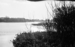 Tur-om-Damhussøen-10