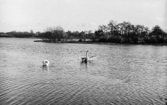 Tur-om-Damhussøen-12