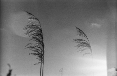 Tur-om-Damhussøen-13