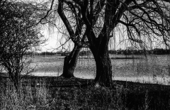 Tur-om-Damhussøen-15