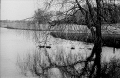 Tur-om-Damhussøen-2