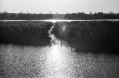 Tur-om-Damhussøen-20