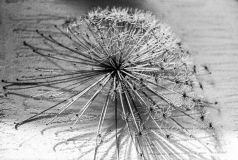 Tur-om-Damhussøen-21