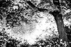 Tur-om-Damhussøen-22