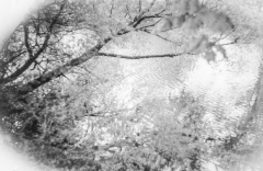 Tur-om-Damhussøen-24