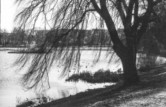 Tur-om-Damhussøen-4