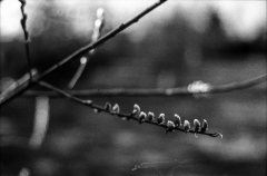 Tur-om-Damhussøen-5