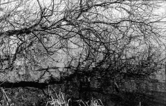 Tur-om-Damhussøen-8