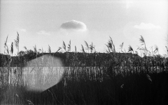 Tur-om-Damhussøen-9