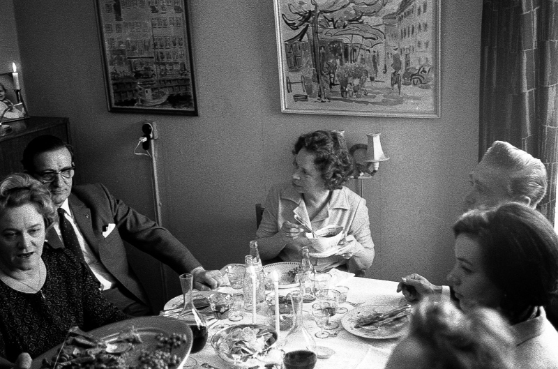 Fammilie-egholmvej-1