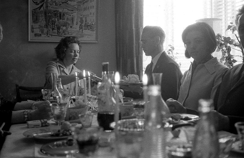 Fammilie-egholmvej-3