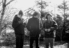 1972-Sommerhus-forår-105