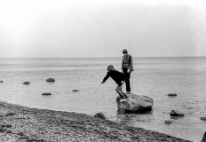 1972-Sommerhus-forår-122