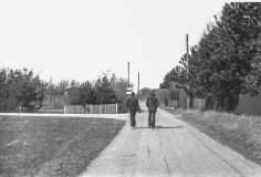 1972-Sommerhus-forår-128