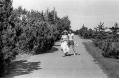 1972-Sommerhus-sommer-108