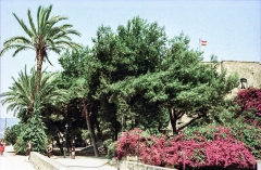 1974-Mallorca-186