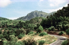1974-Mallorca-242