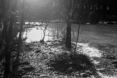 1974-Vinterskovtur-118