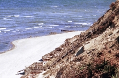 1976-Sommerhus-forår-126