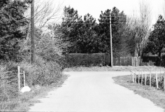 1976-Sommerhus-forår-128