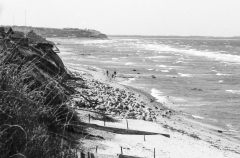 1976-Sommerhus-forår-152