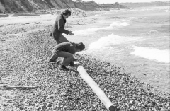 1976-Sommerhus-forår-164