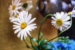 1977-Blomster-og-natur-100