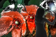 1978-Fotoeksperiment-101