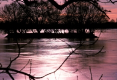 1978-Fotoeksperiment-102