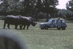 1979-Knuthenborg-120