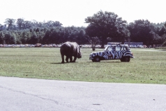 1979-Knuthenborg-121