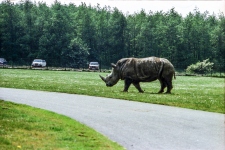 1980-Knuthenborg-101