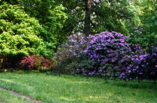 1980-Knuthenborg-135