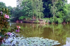 1980-Knuthenborg-136