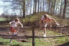 1980-Sverrige-med-DC-102