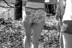 1980-Sverrige-med-DC-161