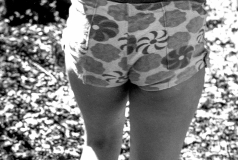 1980-Sverrige-med-DC-162