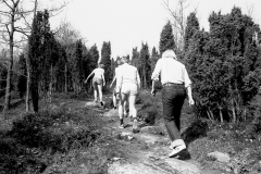 1980-Sverrige-med-DC-184