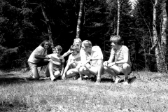 1980-Sverrige-med-DC-203