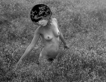 1980-Sverrige-med-DC-222