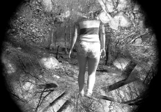 1980-Sverrige-med-DC-223