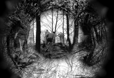 1980-Sverrige-med-DC-224