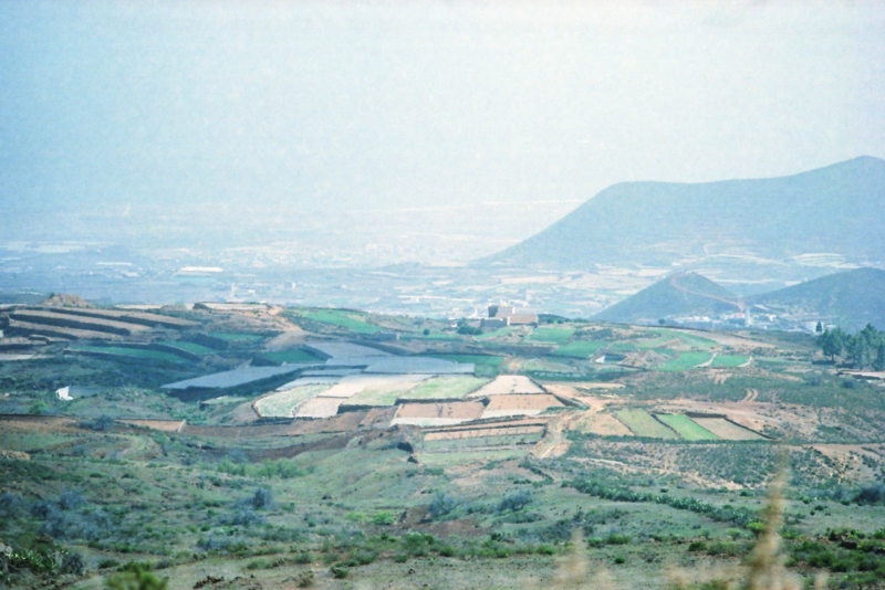 1980-Tenerife-151