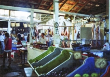 1982-Cypern-ferie-109