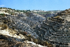 1982-Cypern-ferie-172