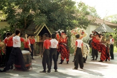 Mal0006-Kinesisk-Nytår-1