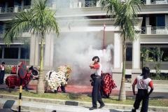 Mal0006-Kinesisk-Nytår-10