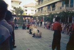 Mal0006-Kinesisk-Nytår-6